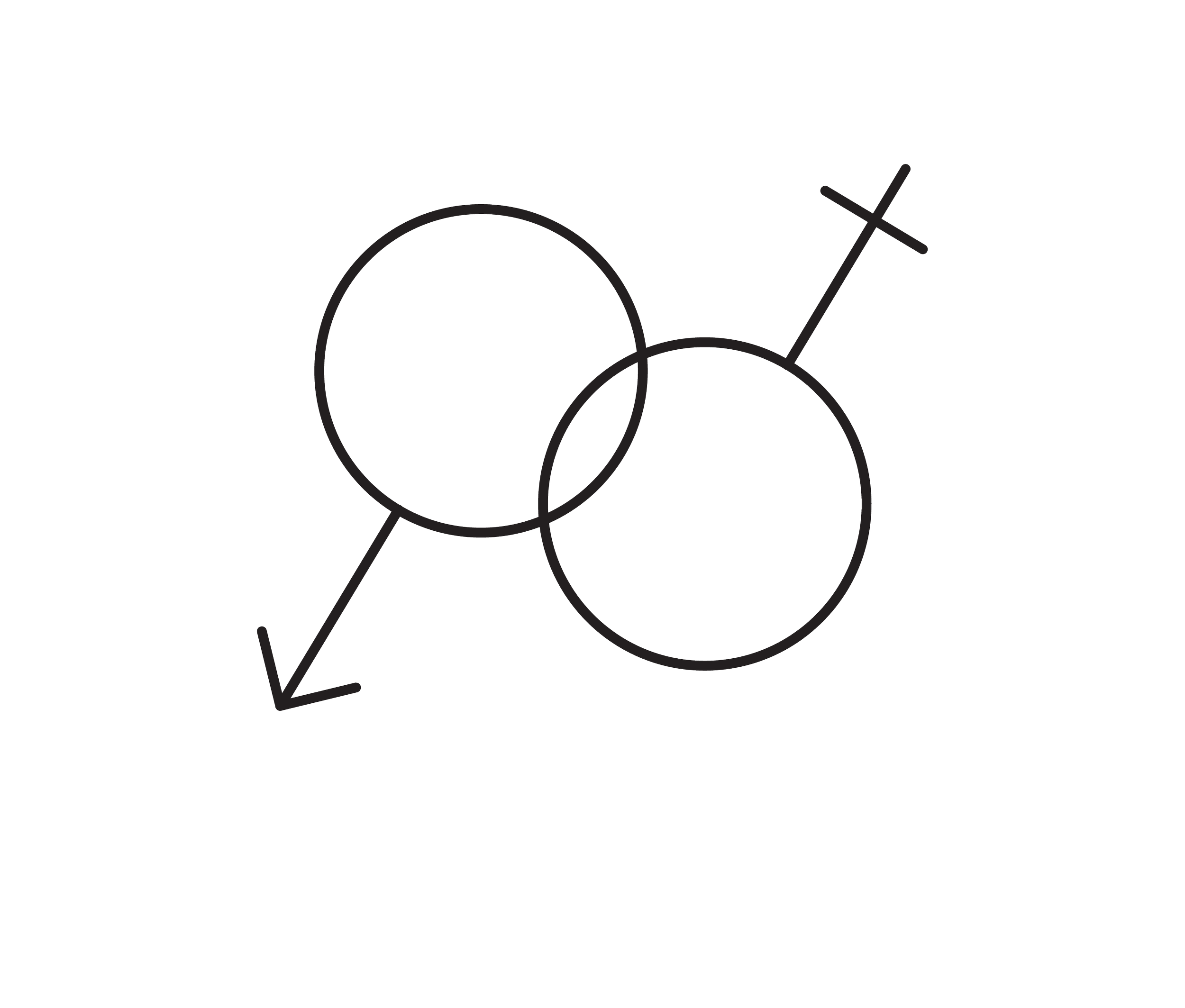 ENHANCED LIBIDO & SEXUAL PERFORMANCE